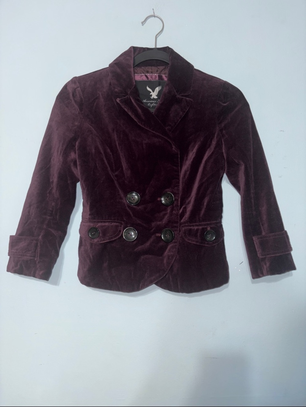 Vintage Y2K American Eagle Dark Academia Velvet Double-Breasted Blazer - Plum